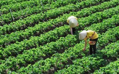 091987bd-75c7-461d-8697-c7a7989cb385