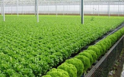 4ff2242d-5ee6-457e-88f1-ec78e2a757fe