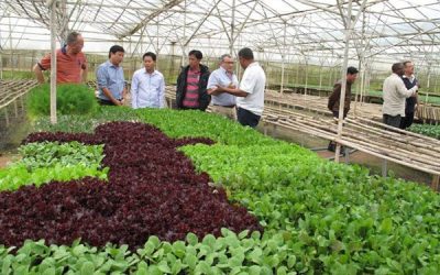 545ad605-09f5-4cb0-8002-32878e92dfb8