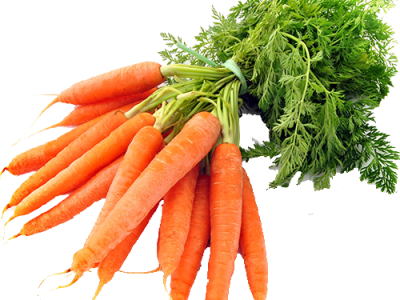 carrot