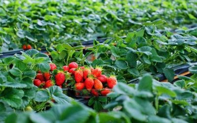 ea7f9553-bc91-40c7-9ac8-cb501cd2fcc1