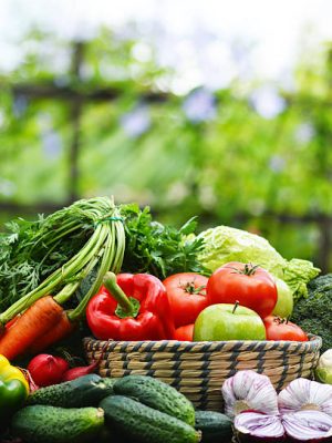 Fresh organic vegetables in wicker basket in the garden.